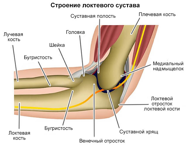 йцу.jpg